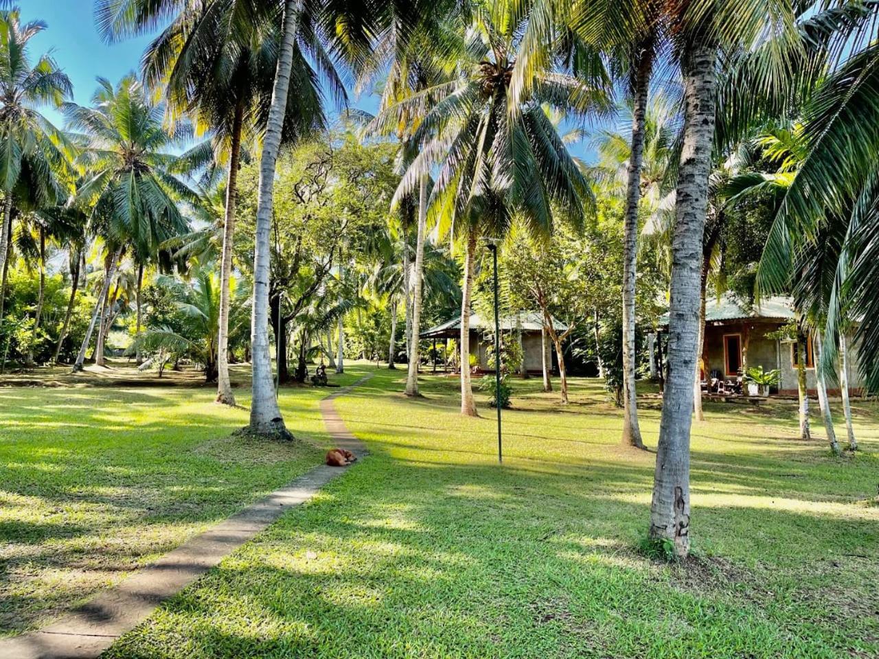 Udawalawa Safari Resort Udawalawe Esterno foto