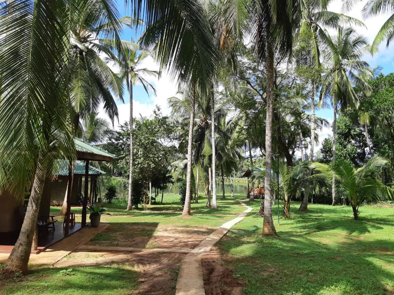 Udawalawa Safari Resort Udawalawe Esterno foto
